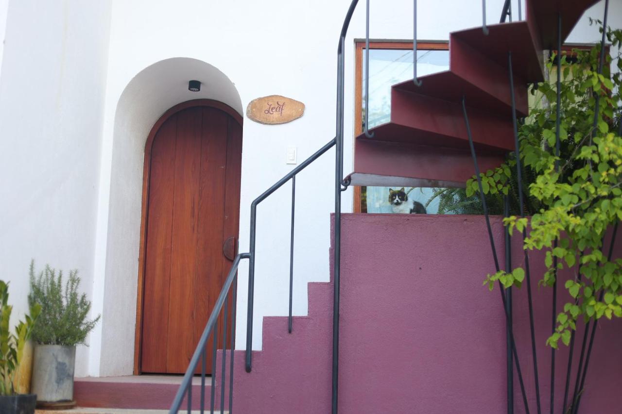 Cherry Suites Dalat Zewnętrze zdjęcie